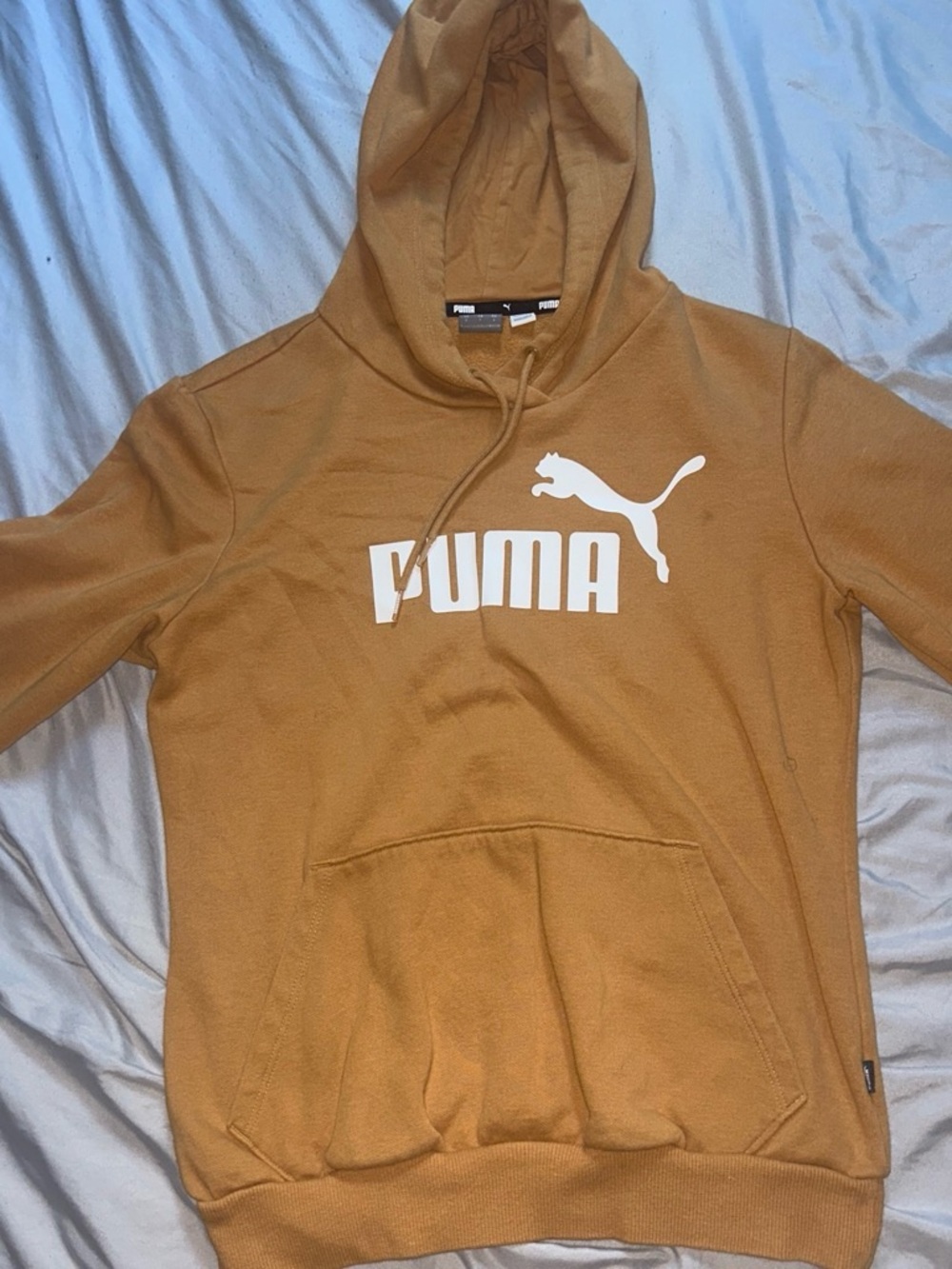 Puma  Hooded Sweatshirt in Camel